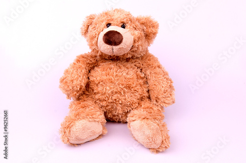 Brown toy bear on white background