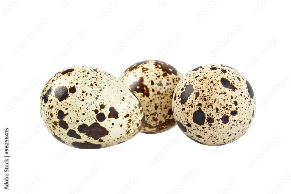 Quail eggs on a white background Quail eggs on a white background