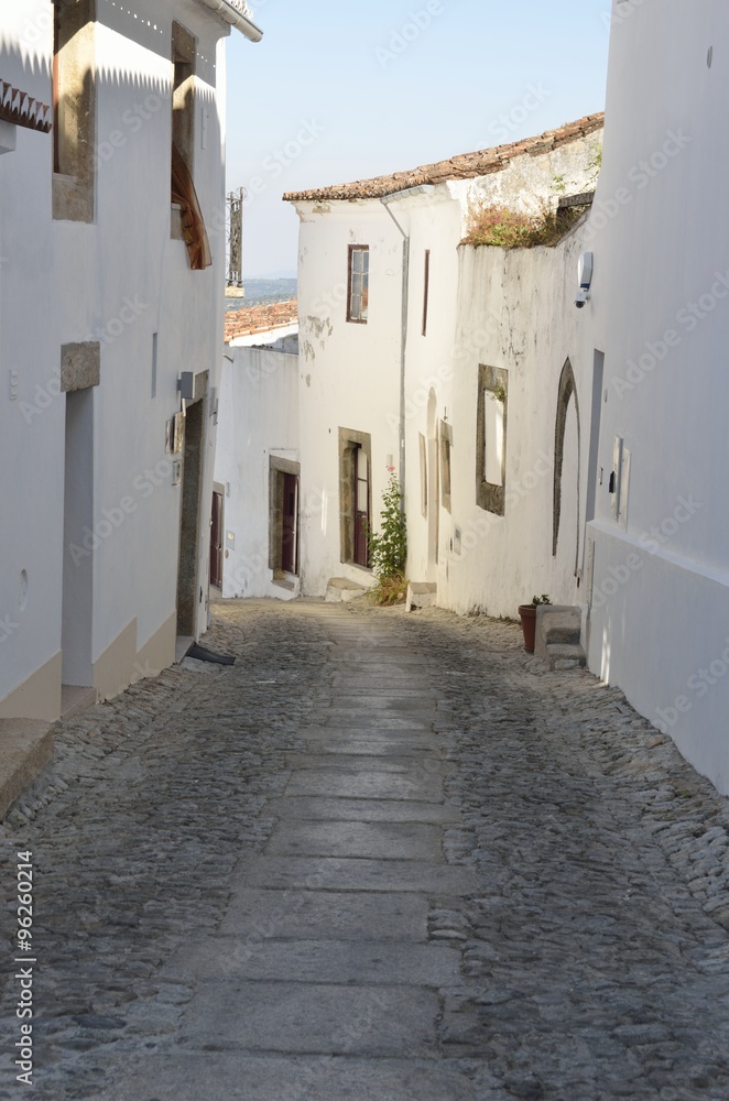 Cobblestone alley in Marvao, Portugal