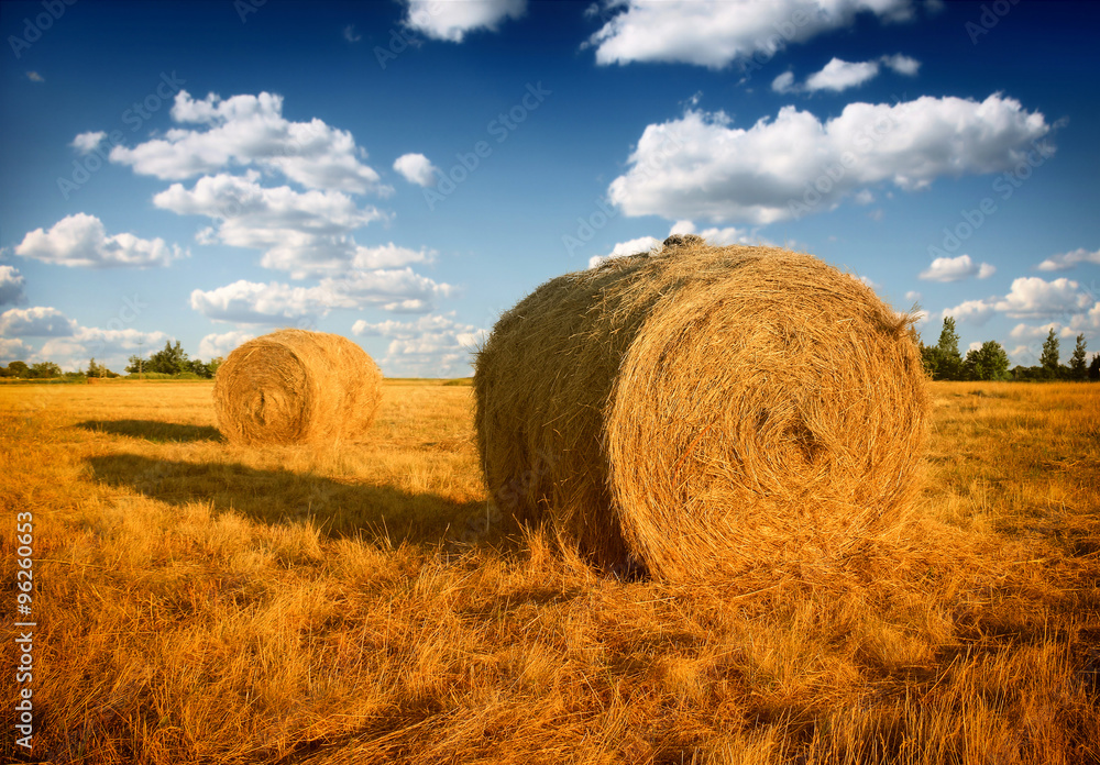Hay bale in the countryside Hay bale in the countryside