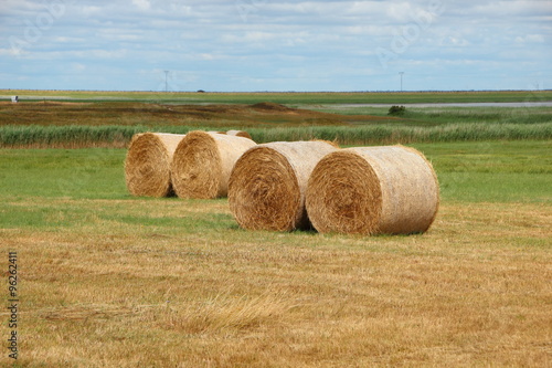 Round Straw Bales in Meadow Landscape Closeup