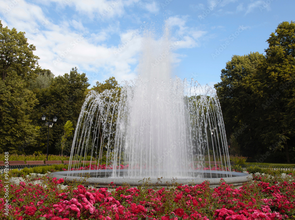 Naklejka premium large fountain in a summer park