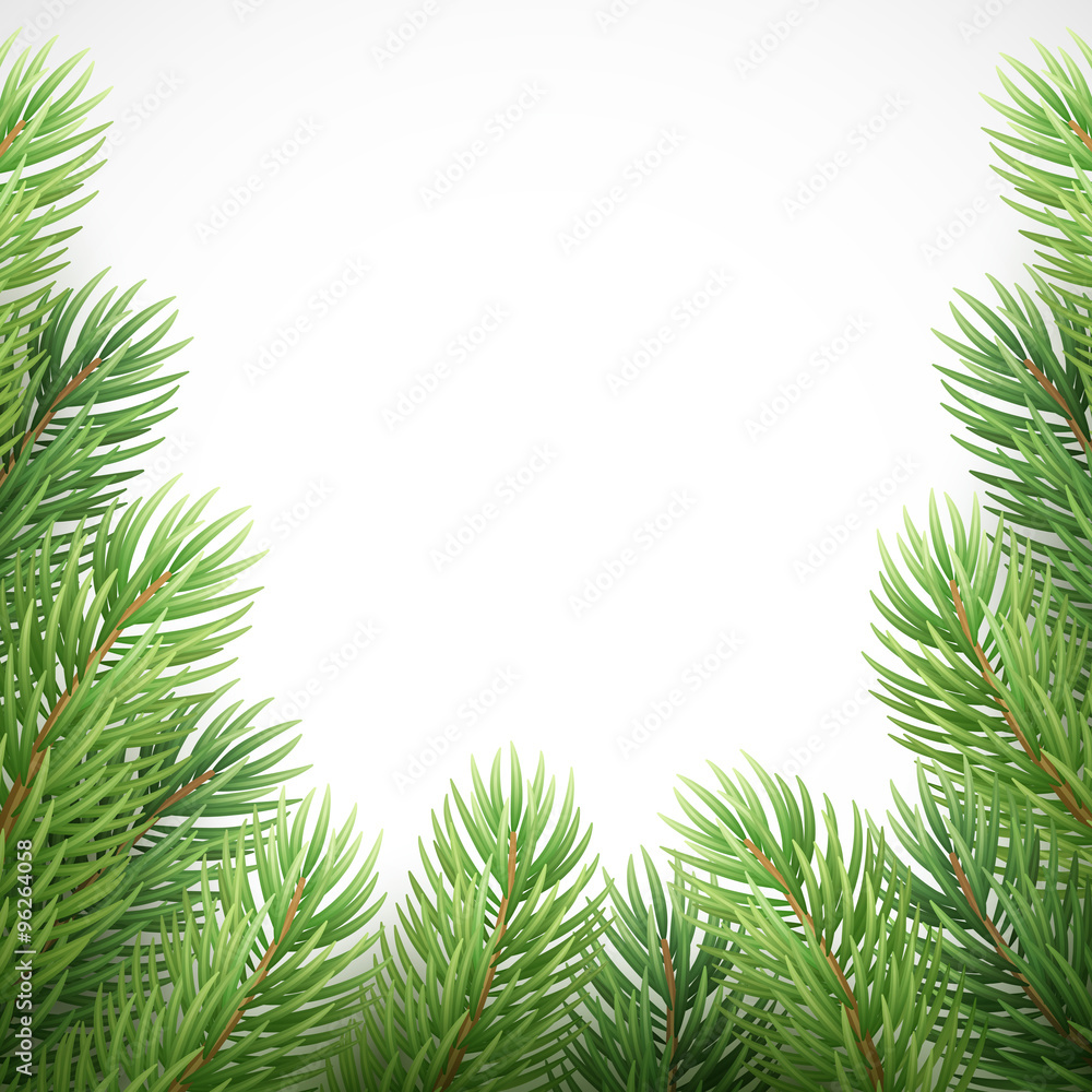 Green spruce branches like Christmas frame. Vector illustration