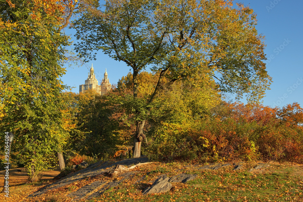 Fototapeta premium Autumn in Central Park, New York