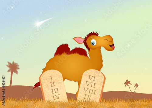 Photography tables of the Ten Commandments