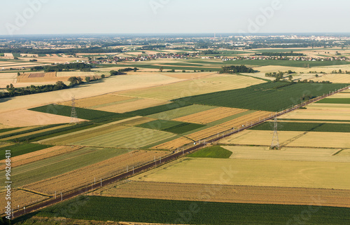 aerial view of harvest fields in summer