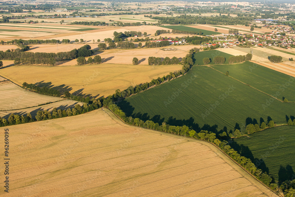 aerial view of  harvest fields in summer