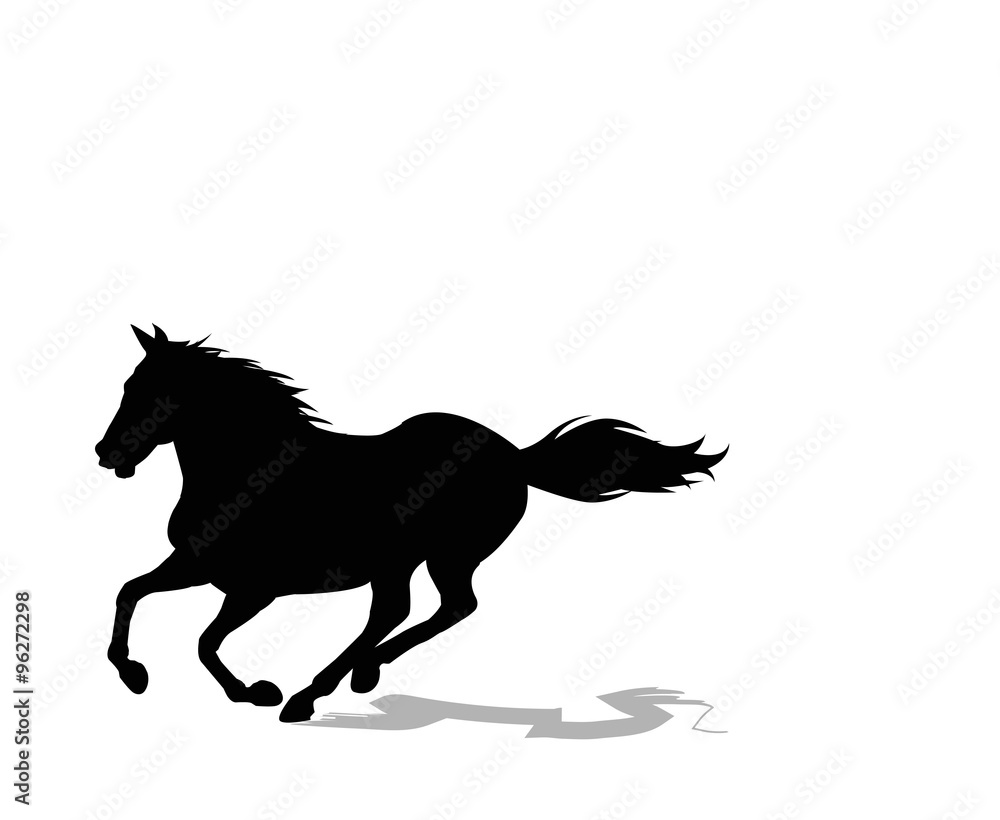 Obraz sylwetka konia na białym tle