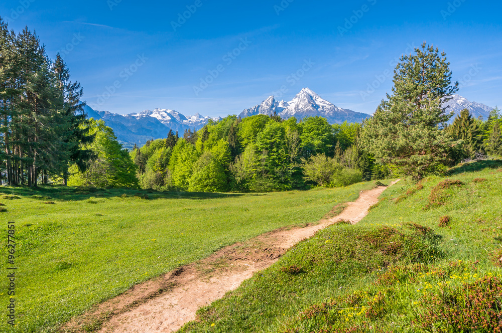 Idyllic mountain landscape in the Alps with hiking trail, fresh green mountain pastures and blooming flowers in springtime