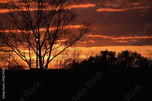 Fototapeta Naklejka Na Ścianę i Meble -  Sunset setting behind fall trees