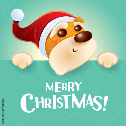 Merry Christmas! Christmas puppy with big sign.