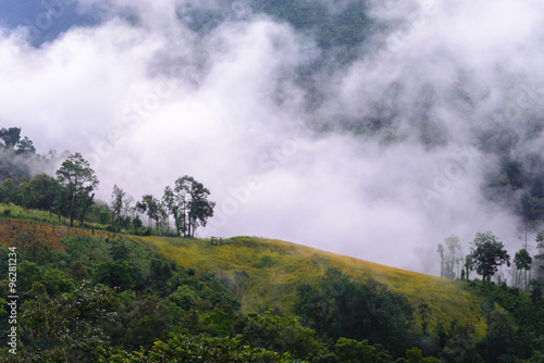 Morning mist with mountain in Chiang Dao National Park  Chiang Mai  Thailand.