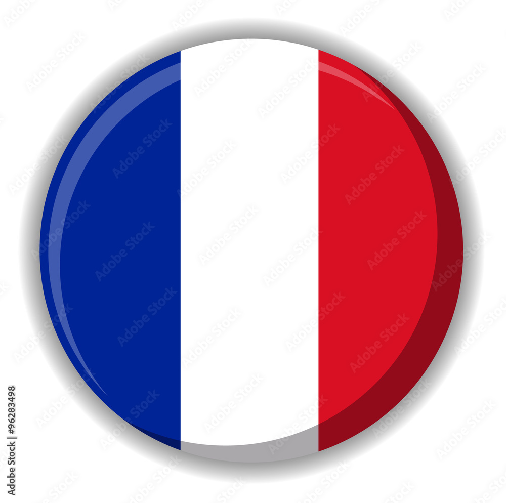 France or French flag button vector image