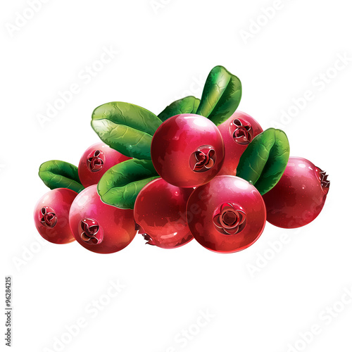 Red Cranberries With Leaves
