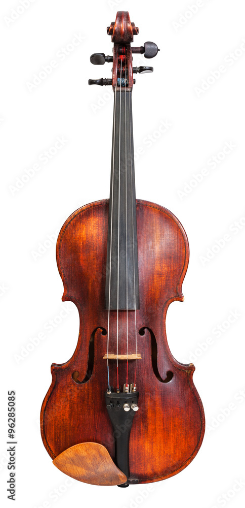 Fototapeta premium front view of standard full size violin isolated