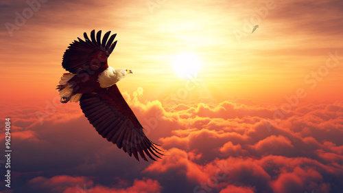 Tablou canvas Fish Eagle flying above clouds