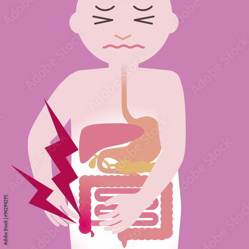 appendicitis and human digestive organs, simplified illustration