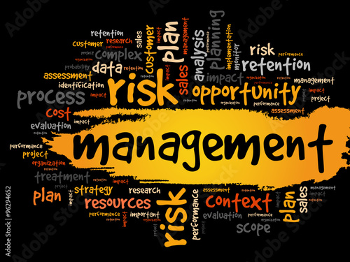 MANAGEMENT word cloud, business concept background