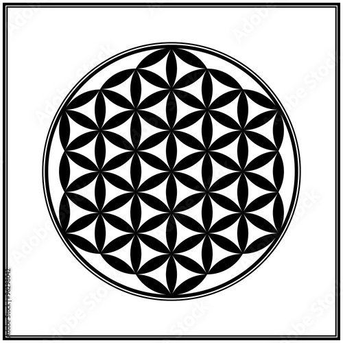 Flower Of Life. Sacred geometry, vector element. 