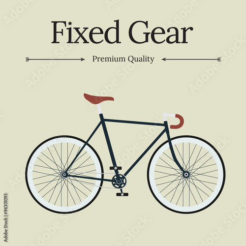 Fixed gear bicycle