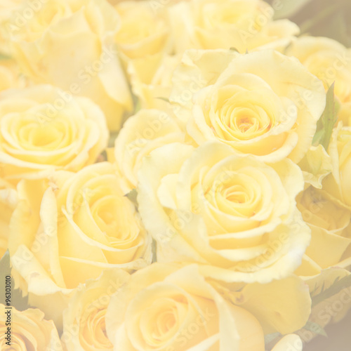 sweet color flowers in soft color and blur style for background