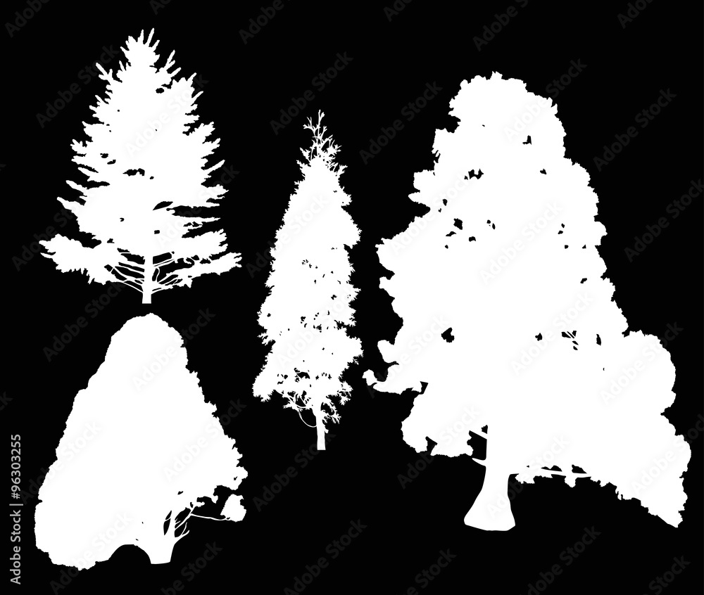 four coniferous trees silhouettes isolated on black four coniferous trees silhouettes isolated on black