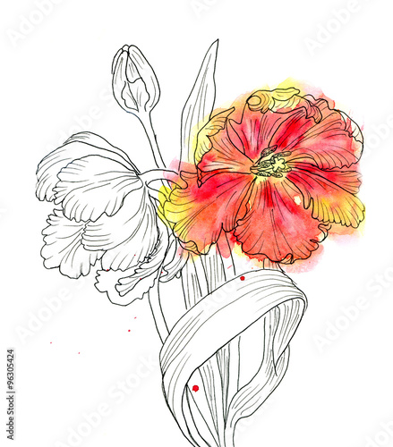 Fototapeta hand drawn decorative tulips for your design