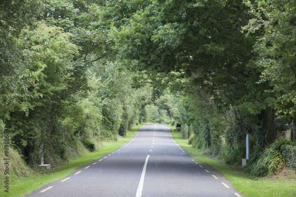 Rural Road, Killarney