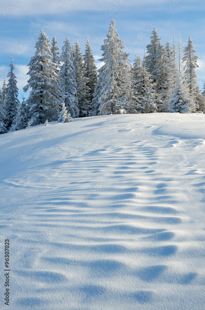 Obraz premium Landscape with snow in winter
