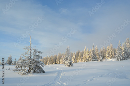 Winter landscape day