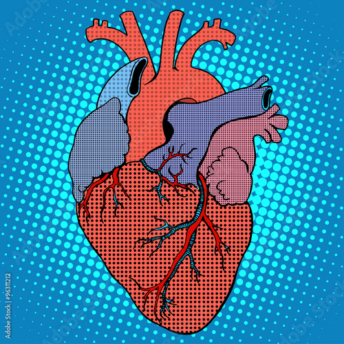Anatomy human heart retro style