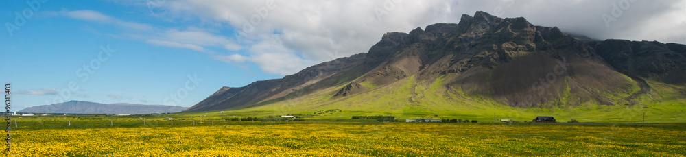 Reykjanes peninsula in summer - obrazy, fototapety, plakaty 