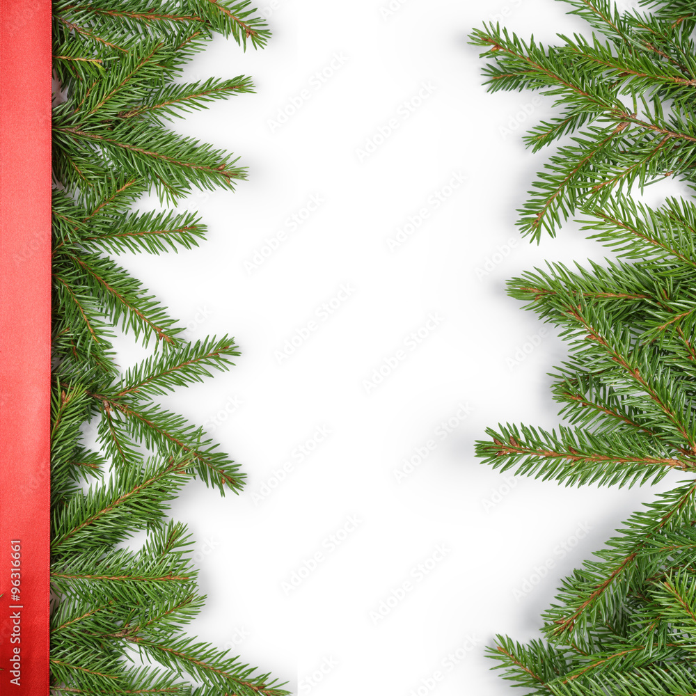 fir branches border on white background with red ribbon