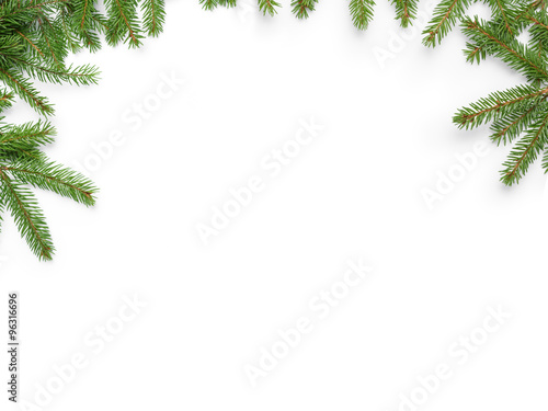 fir branches border on white background