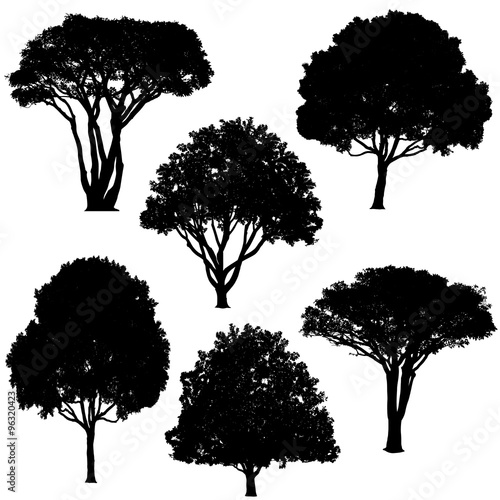 various trees in silhouette vector