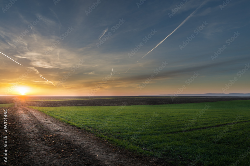 Sunrise over a field