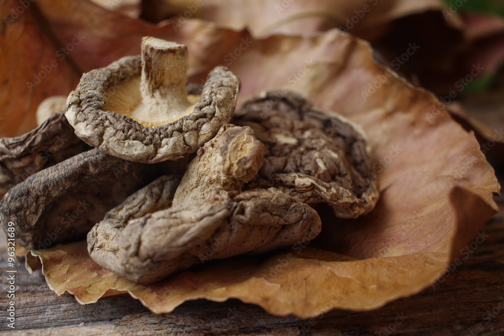 Dried shiitake mushroom Dried shiitake mushroom