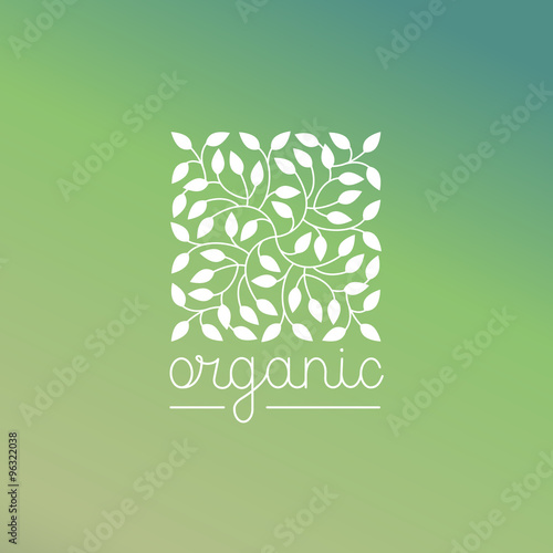 Vector organic and natural emblem and logo design template - green ecology concept or natural cosmetics - square made with leaves