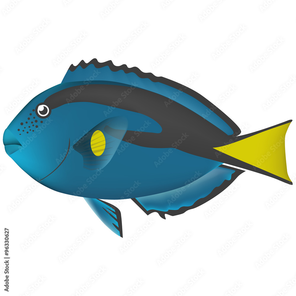 Obraz premium real fish sea life illustration 