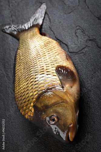 Fish carp on the surface of dark stone.