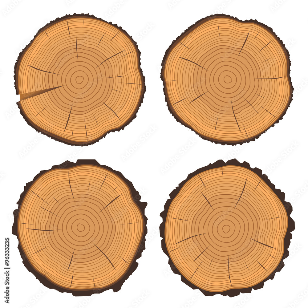 Tree rings and saw cut tree trunk - obrazy, fototapety, plakaty 
