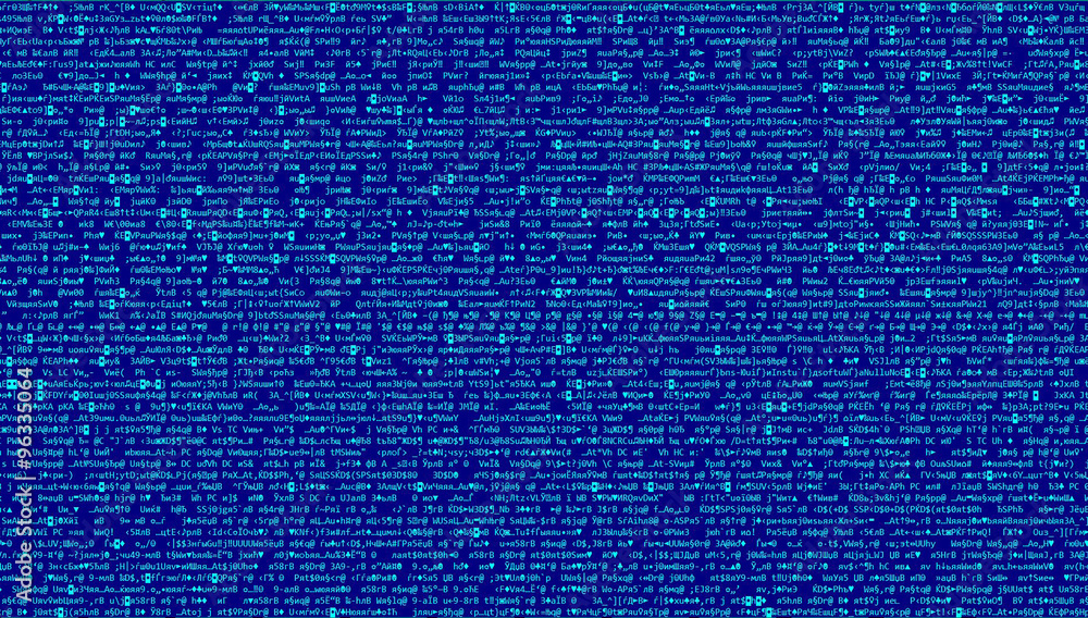 Programming code Programming code