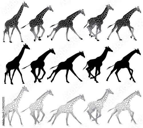 Set of running and walking giraffes