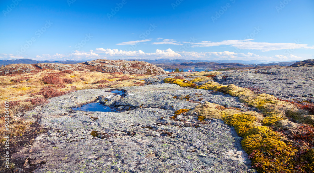 Norwegian mountains, landscape with colorful moss