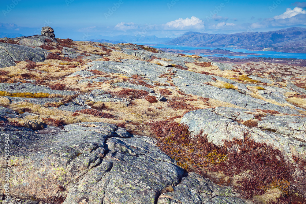 Norwegian mountains, landscape with colorful moss