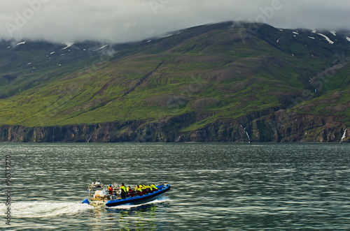 Whale watching tour from fast zodiac boat near Husavik, Iceland