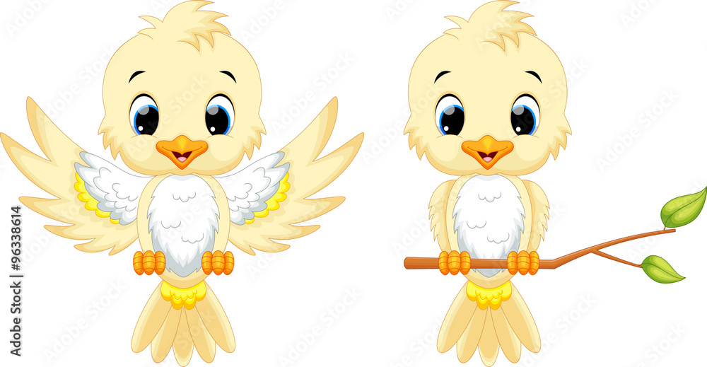 Obraz premium Cute bird cartoon