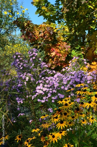 Fototapeta Naklejka Na Ścianę i Meble -  Bunter Herbstgarten im Oktober