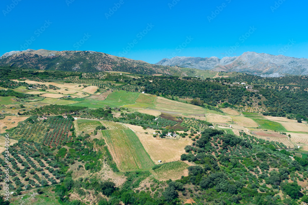 View to landscape Andalusian plains
