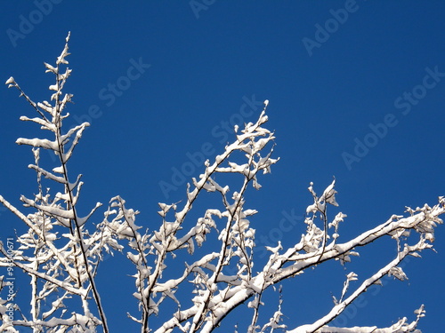 Cime innevate